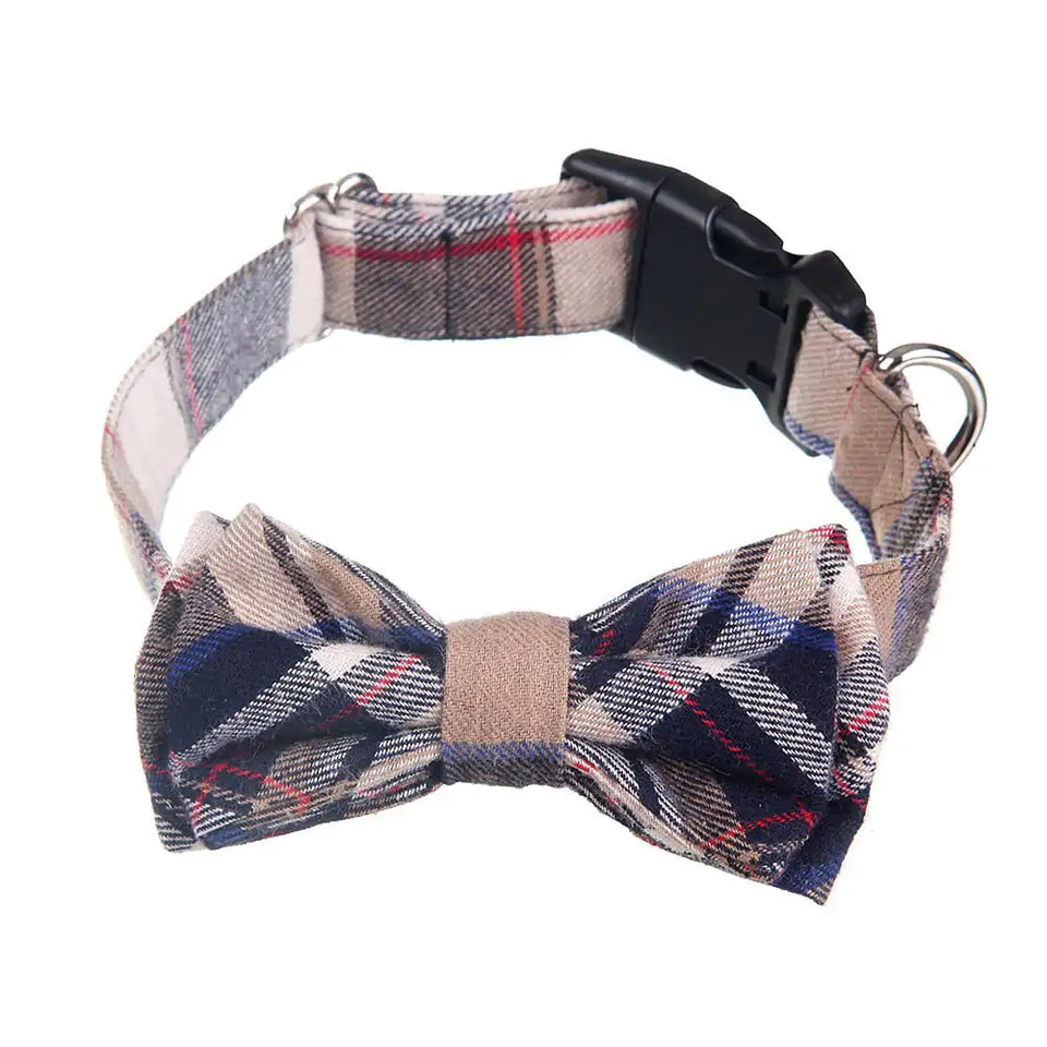 Bow Tie Collars